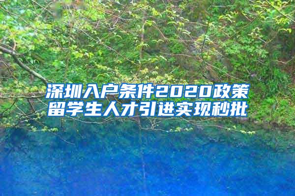 深圳入戶條件2020政策留學(xué)生人才引進(jìn)實(shí)現(xiàn)秒批