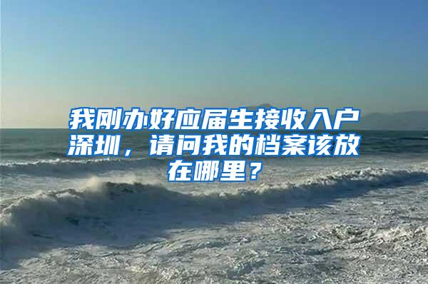 我剛辦好應(yīng)屆生接收入戶深圳，請(qǐng)問我的檔案該放在哪里？