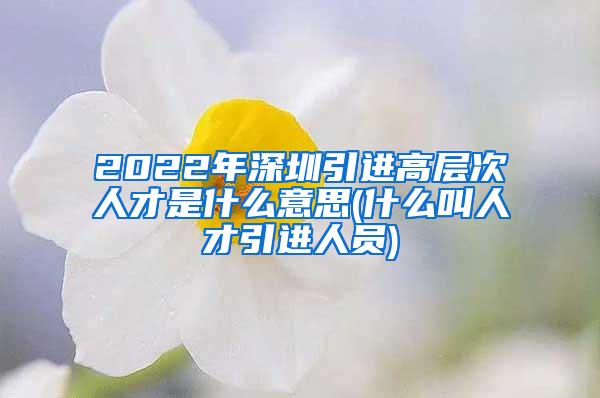 2022年深圳引進高層次人才是什么意思(什么叫人才引進人員)