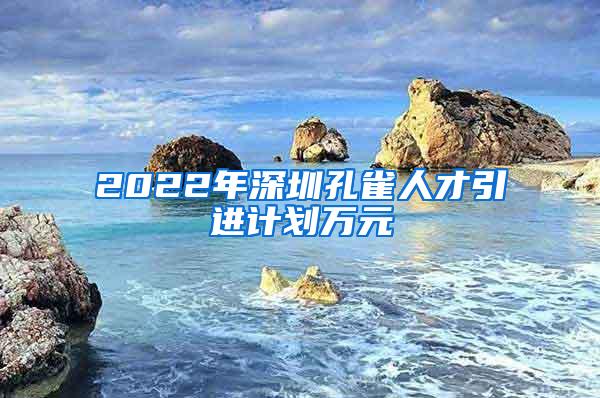 2022年深圳孔雀人才引進(jìn)計劃萬元