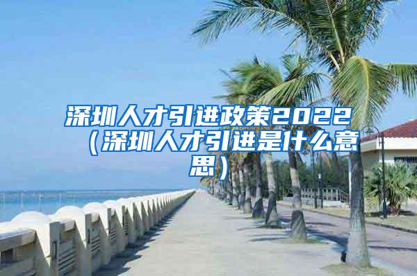 深圳人才引進(jìn)政策2022（深圳人才引進(jìn)是什么意思）