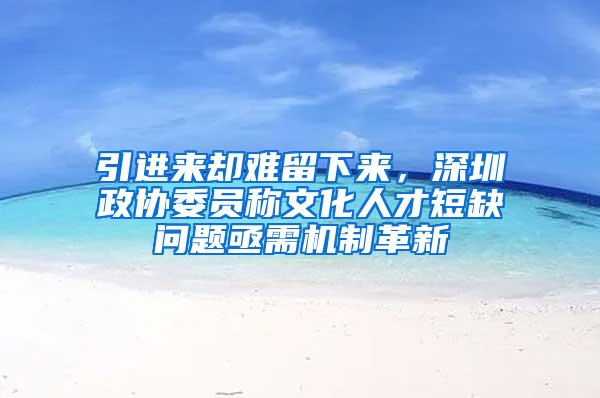 引進來卻難留下來，深圳政協(xié)委員稱文化人才短缺問題亟需機制革新