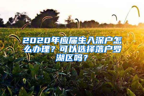 2020年應(yīng)屆生入深戶怎么辦理？可以選擇落戶羅湖區(qū)嗎？