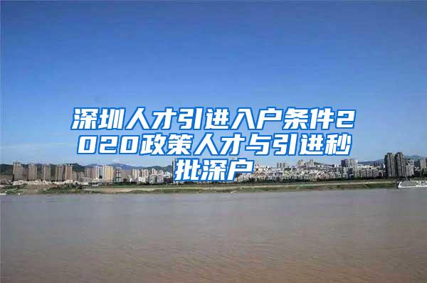 深圳人才引進入戶條件2020政策人才與引進秒批深戶