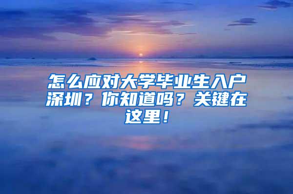 怎么應(yīng)對大學(xué)畢業(yè)生入戶深圳？你知道嗎？關(guān)鍵在這里！