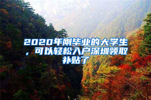 2020年剛畢業(yè)的大學(xué)生，可以輕松入戶深圳領(lǐng)取補貼了