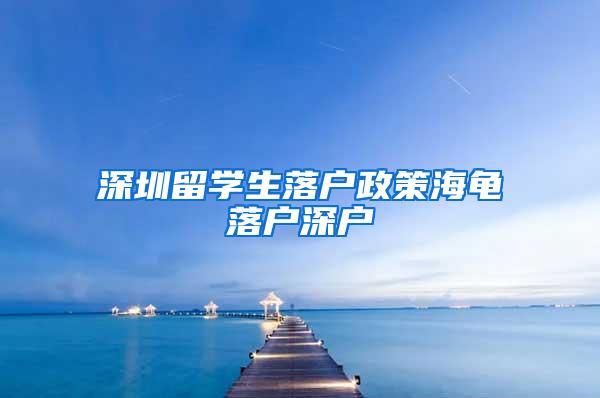 深圳留學(xué)生落戶政策海龜落戶深戶