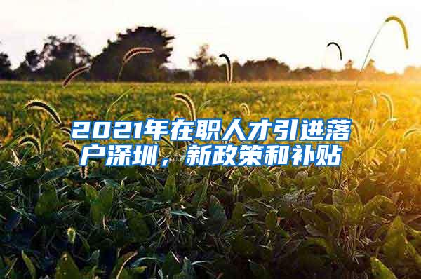 2021年在職人才引進落戶深圳，新政策和補貼