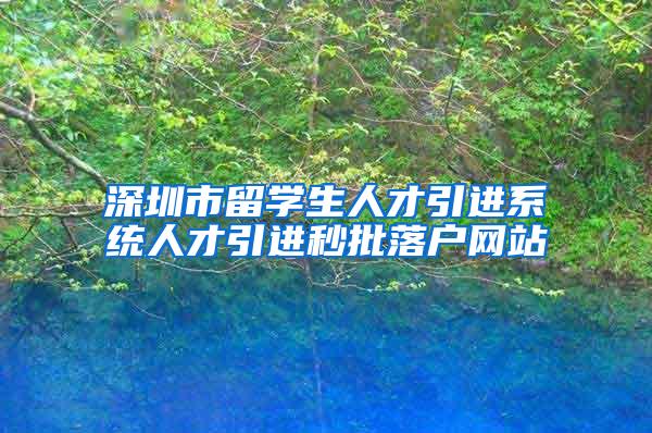 深圳市留學(xué)生人才引進(jìn)系統(tǒng)人才引進(jìn)秒批落戶網(wǎng)站