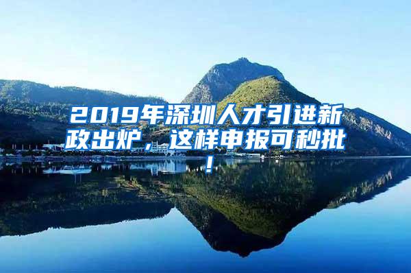 2019年深圳人才引進(jìn)新政出爐，這樣申報可秒批！