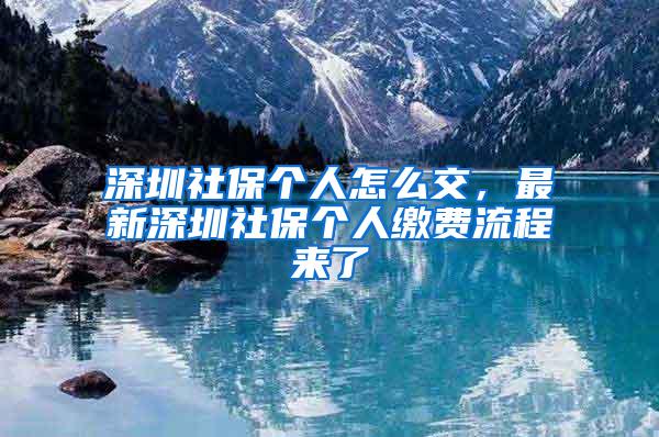 深圳社保個(gè)人怎么交，最新深圳社保個(gè)人繳費(fèi)流程來(lái)了