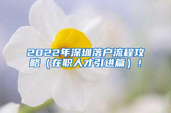 2022年深圳落戶流程攻略（在職人才引進(jìn)篇）！