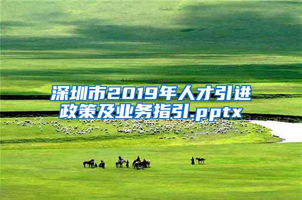 深圳市2019年人才引進(jìn)政策及業(yè)務(wù)指引.pptx