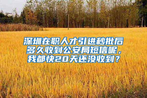 深圳在職人才引進秒批后多久收到公安局短信呢，我都快20天還沒收到？