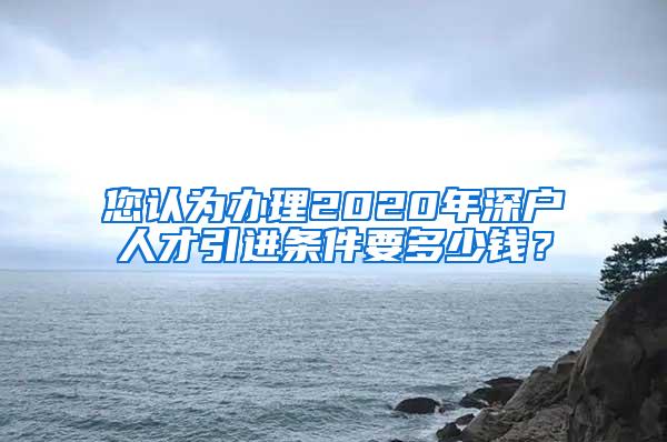 您認(rèn)為辦理2020年深戶人才引進(jìn)條件要多少錢？