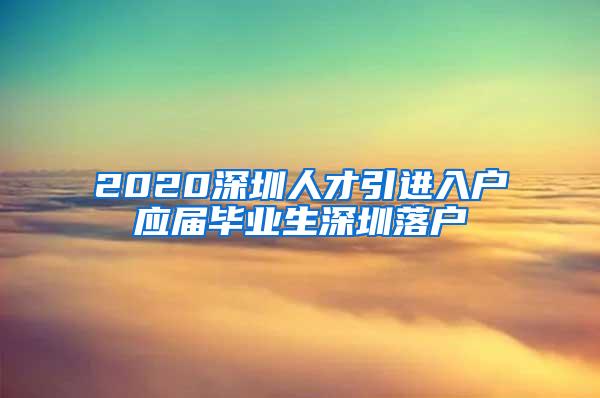 2020深圳人才引進入戶應屆畢業(yè)生深圳落戶