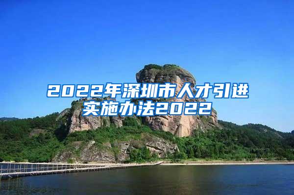 2022年深圳市人才引進(jìn)實(shí)施辦法2022