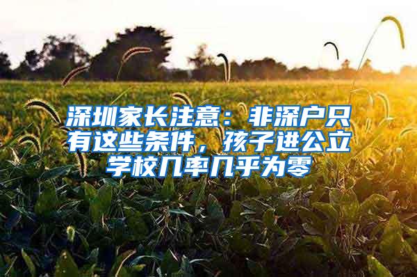 深圳家長(zhǎng)注意：非深戶只有這些條件，孩子進(jìn)公立學(xué)校幾率幾乎為零