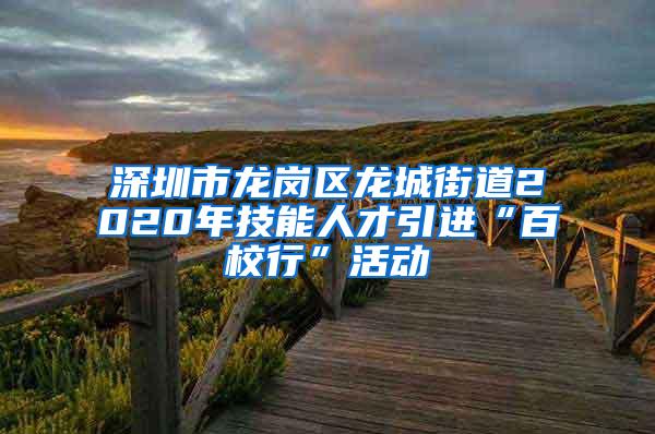 深圳市龍崗區(qū)龍城街道2020年技能人才引進“百校行”活動