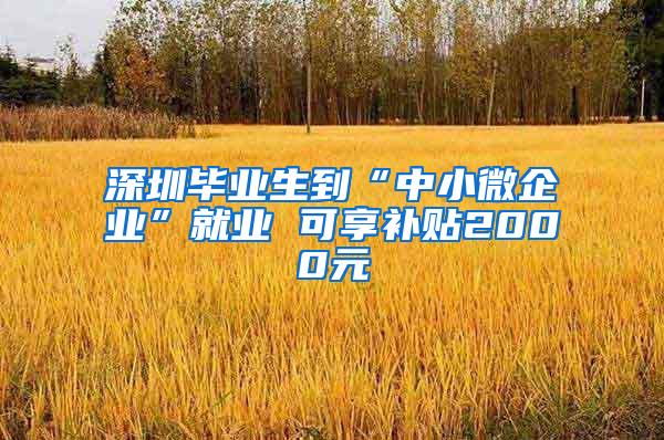 深圳畢業(yè)生到“中小微企業(yè)”就業(yè) 可享補貼2000元