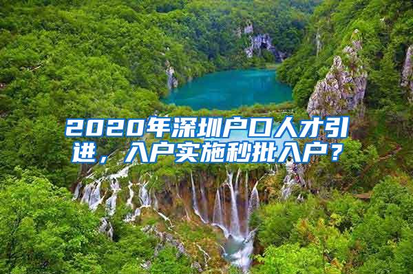 2020年深圳戶口人才引進，入戶實施秒批入戶？