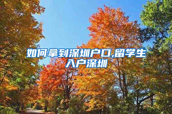 如何拿到深圳戶口,留學生入戶深圳