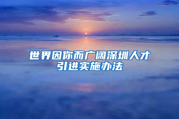 世界因你而廣闊深圳人才引進(jìn)實(shí)施辦法