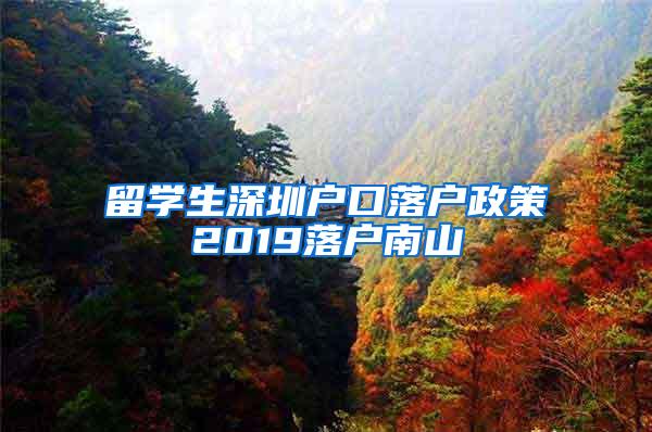 留學(xué)生深圳戶(hù)口落戶(hù)政策2019落戶(hù)南山