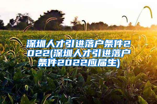 深圳人才引進(jìn)落戶條件2022(深圳人才引進(jìn)落戶條件2022應(yīng)屆生)