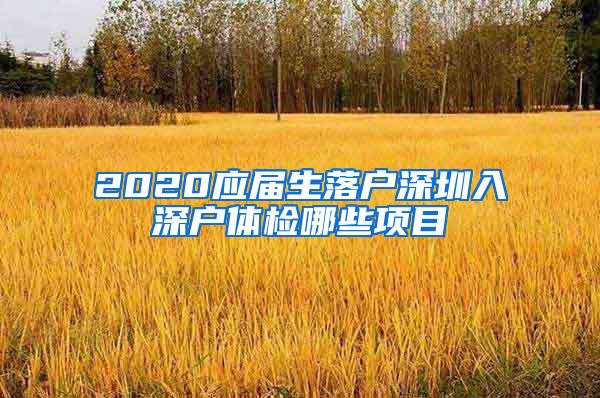 2020應(yīng)屆生落戶深圳入深戶體檢哪些項(xiàng)目