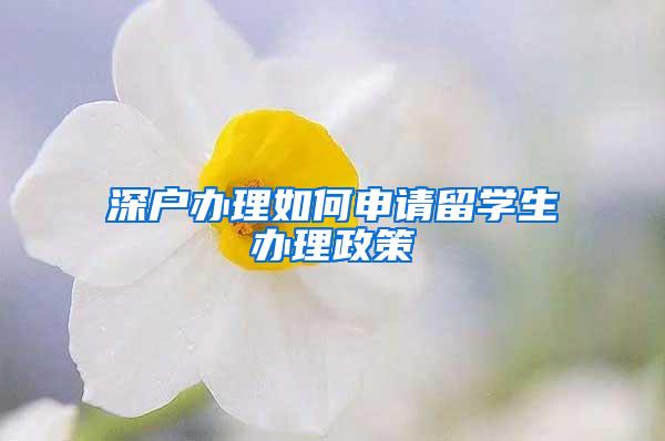 深戶辦理如何申請留學(xué)生辦理政策