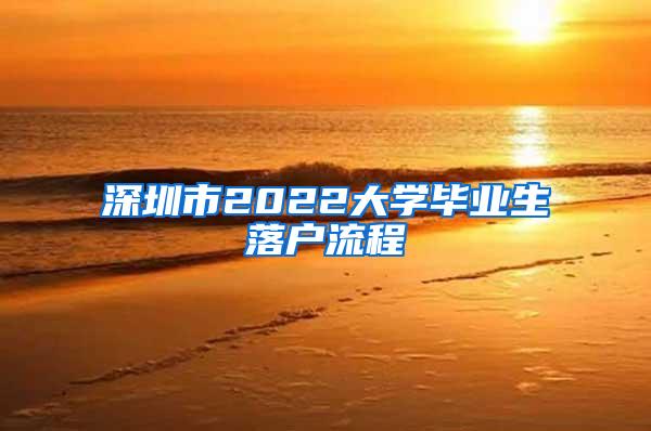 深圳市2022大學(xué)畢業(yè)生落戶流程