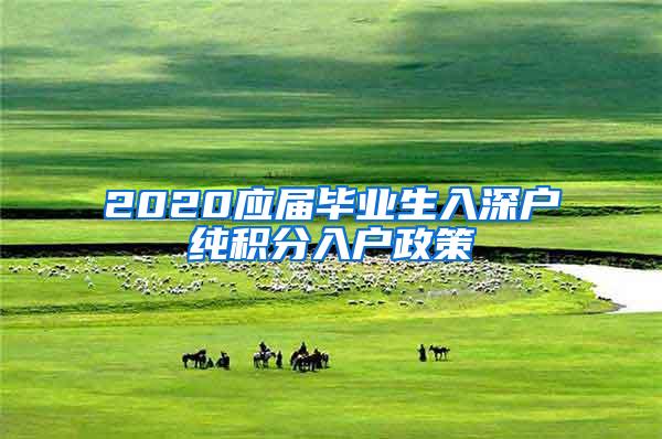 2020應(yīng)屆畢業(yè)生入深戶純積分入戶政策