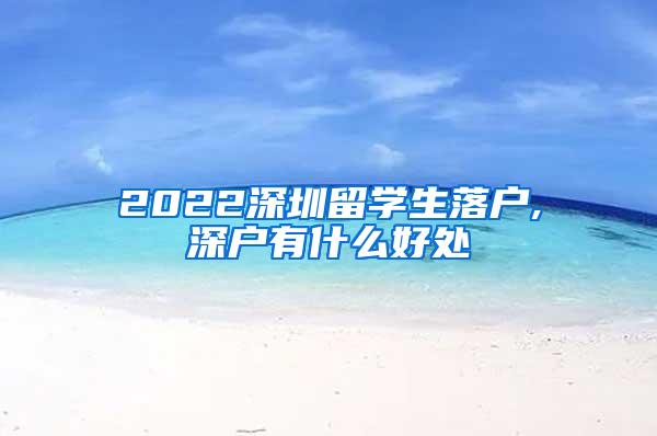 2022深圳留學(xué)生落戶,深戶有什么好處