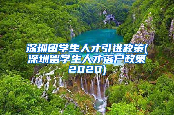 深圳留學生人才引進政策(深圳留學生人才落戶政策2020)