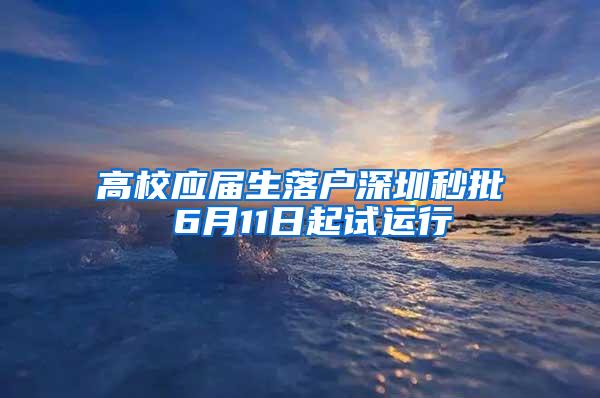 高校應(yīng)屆生落戶深圳秒批 6月11日起試運行