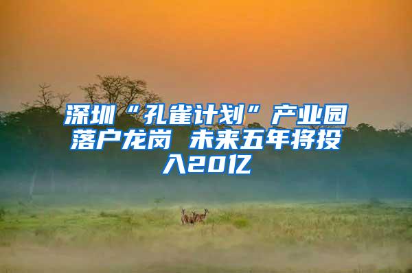 深圳“孔雀計劃”產(chǎn)業(yè)園落戶龍崗 未來五年將投入20億