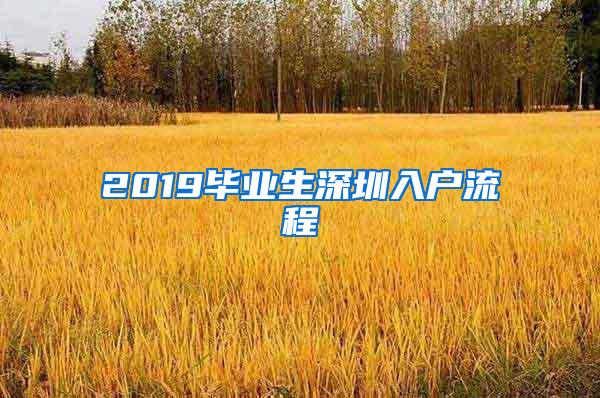 2019畢業(yè)生深圳入戶流程