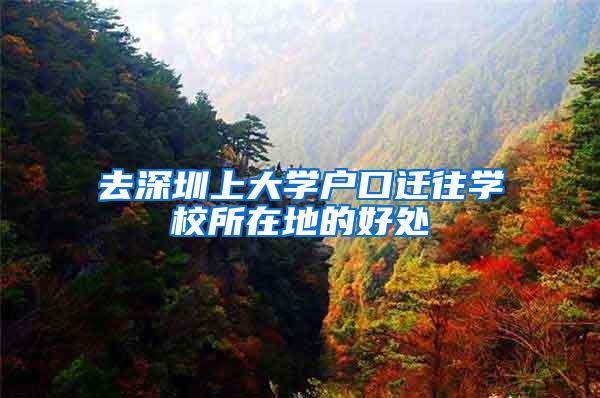 去深圳上大學戶口遷往學校所在地的好處