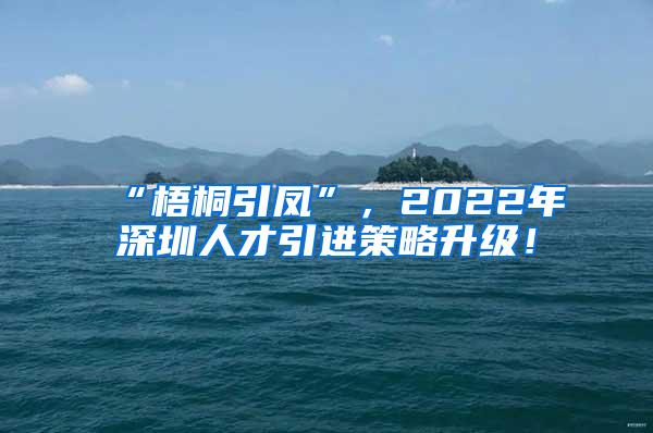 “梧桐引鳳”，2022年深圳人才引進(jìn)策略升級(jí)！