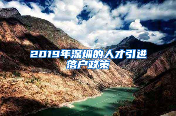 2019年深圳的人才引進落戶政策