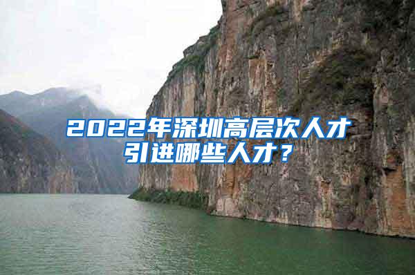 2022年深圳高層次人才引進哪些人才？