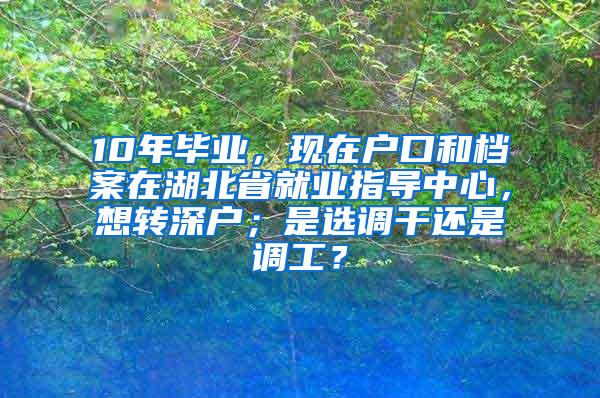 10年畢業(yè)，現(xiàn)在戶口和檔案在湖北省就業(yè)指導(dǎo)中心，想轉(zhuǎn)深戶；是選調(diào)干還是調(diào)工？