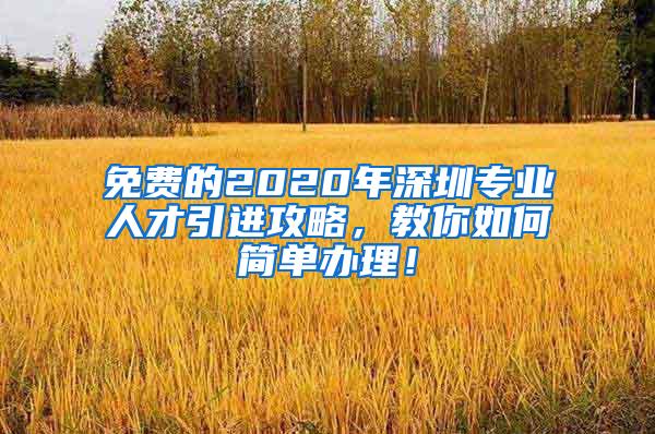 免費(fèi)的2020年深圳專業(yè)人才引進(jìn)攻略，教你如何簡(jiǎn)單辦理！