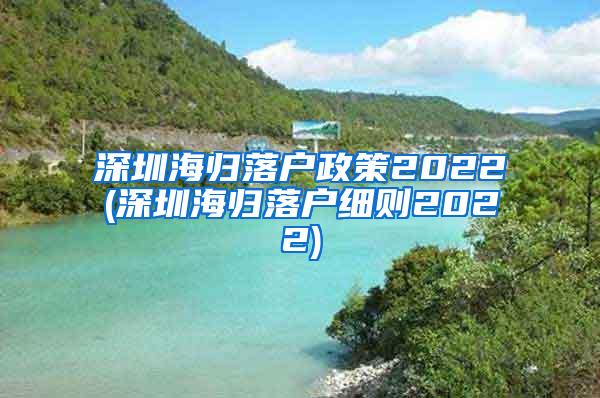 深圳海歸落戶政策2022(深圳海歸落戶細(xì)則2022)