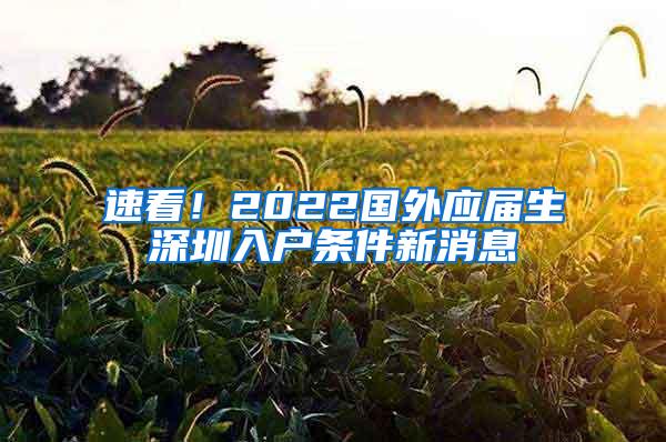 速看！2022國外應屆生深圳入戶條件新消息