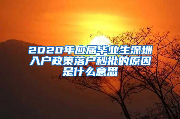 2020年應(yīng)屆畢業(yè)生深圳入戶政策落戶秒批的原因是什么意思