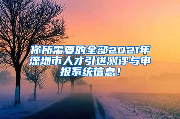 你所需要的全部2021年深圳市人才引進(jìn)測(cè)評(píng)與申報(bào)系統(tǒng)信息！