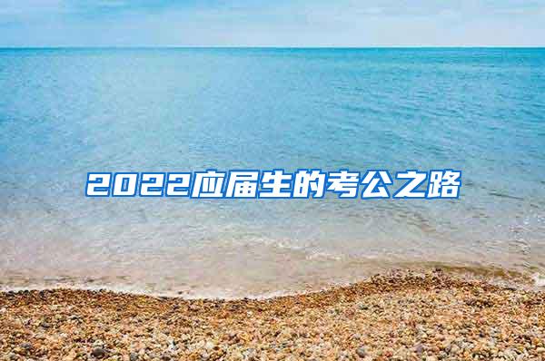 2022應(yīng)屆生的考公之路