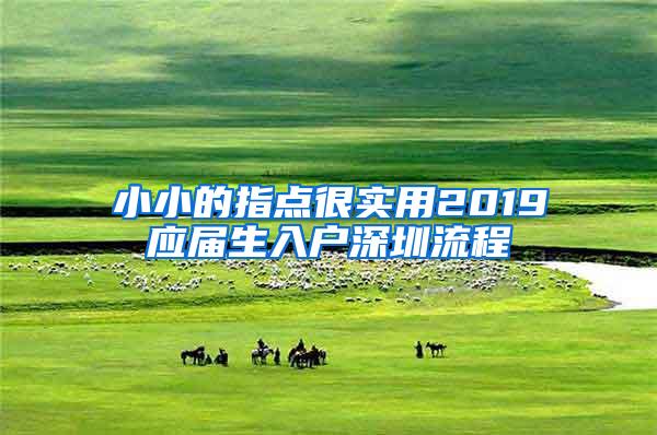 小小的指點(diǎn)很實用2019應(yīng)屆生入戶深圳流程